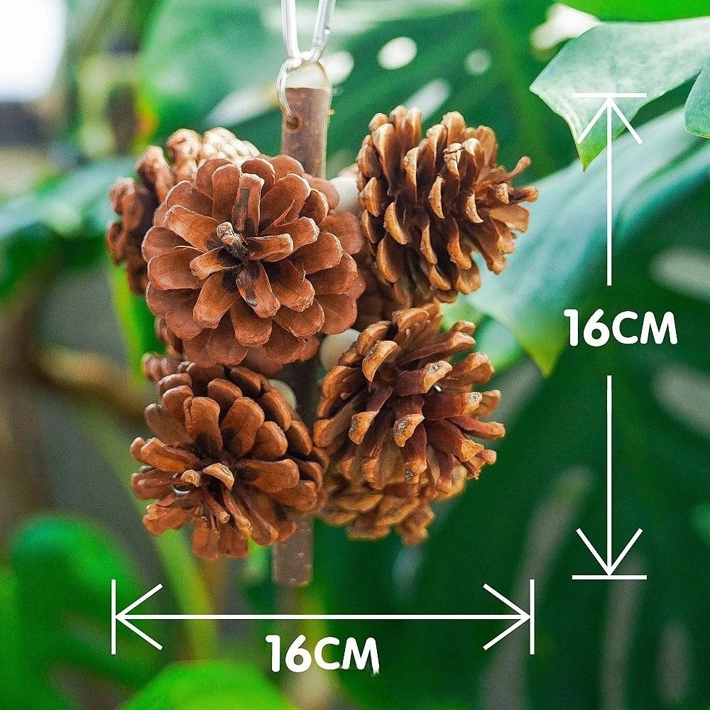 SassBeak Natural Pine Cone Foraging Chew Toy