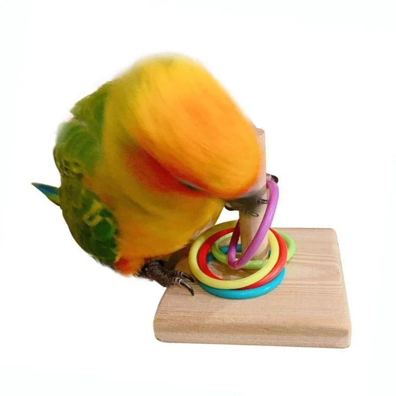 SassBeak Bird Training Ring Puzzle Toy
