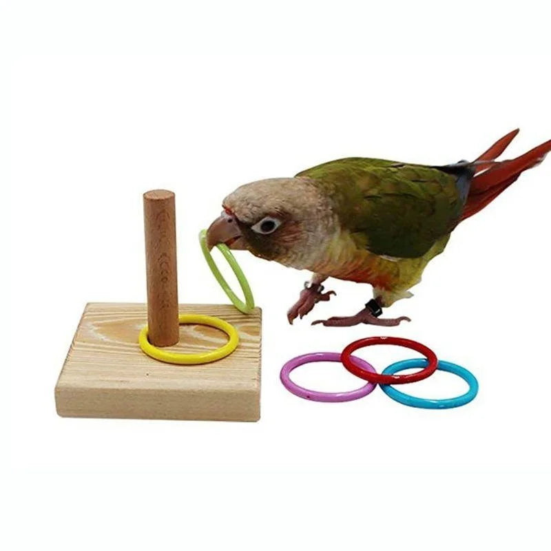 SassBeak Bird Training Ring Puzzle Toy