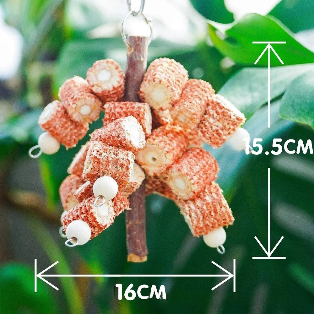 SassBeak Natural Pine Cone Foraging Chew Toy