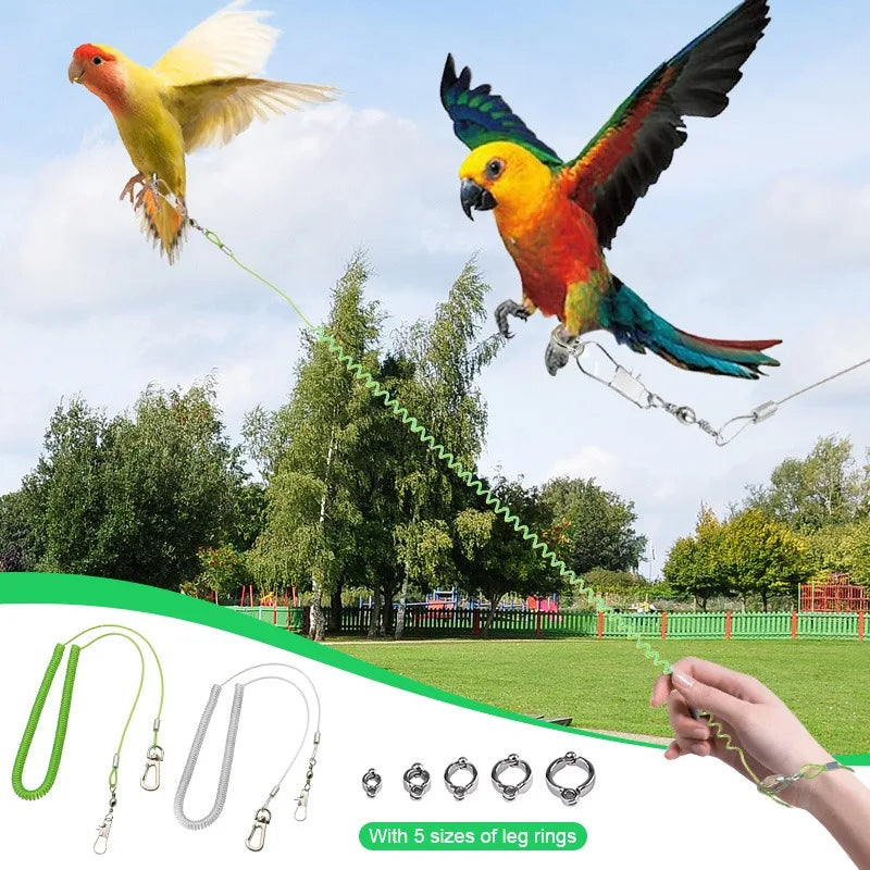 SassBeak Adjustable Bird Flight Harness & Training Leash