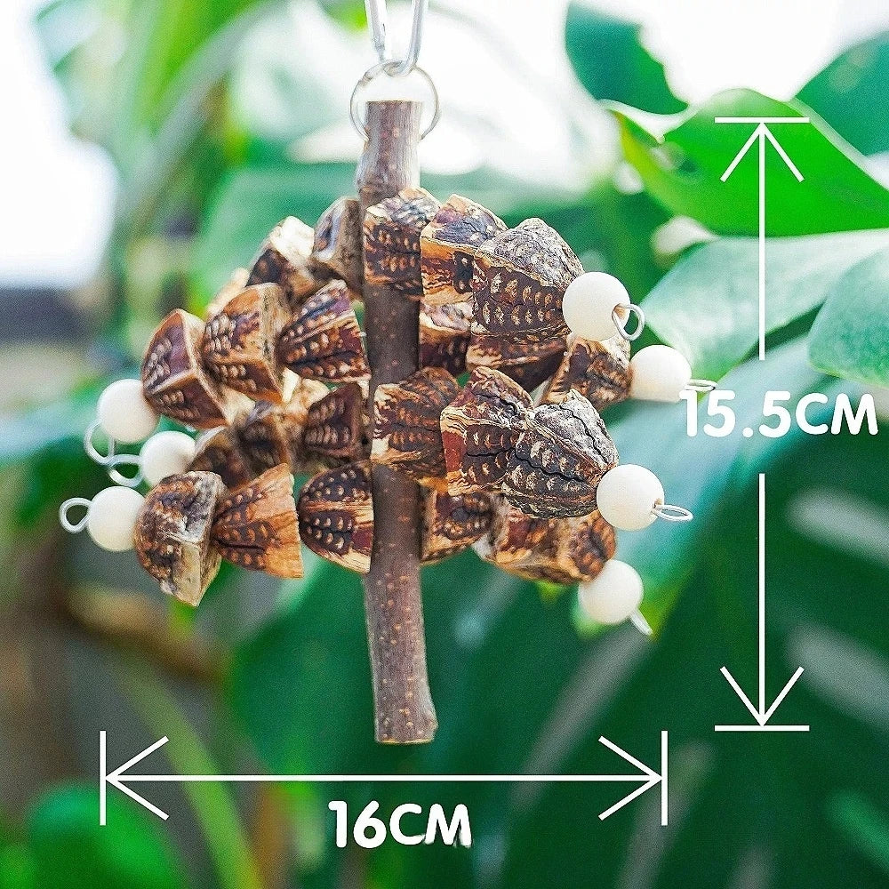 SassBeak Natural Pine Cone Foraging Chew Toy