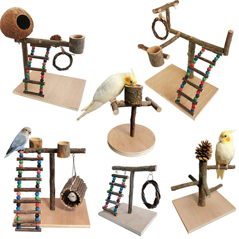 SassBeak Natural Wood Bird Training Stand