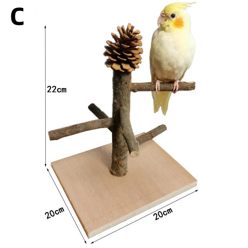 SassBeak Natural Wood Bird Training Stand
