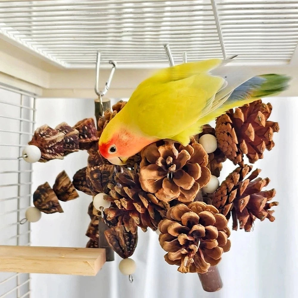 SassBeak Natural Pine Cone Foraging Chew Toy