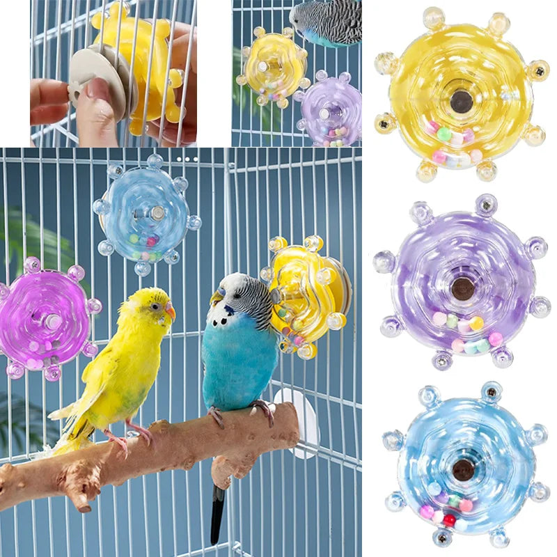 SassBeak Spin & Play Bird Toy