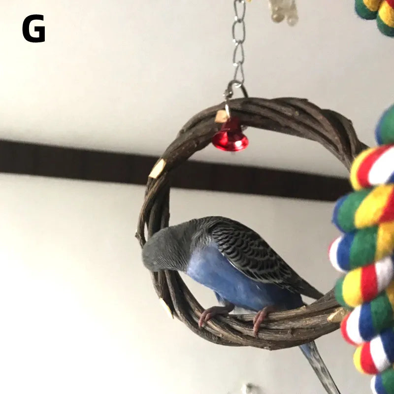 SassBeak Natural Wood Bird Training Stand