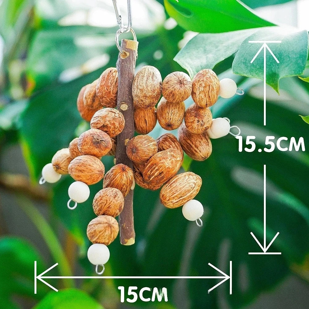 SassBeak Natural Pine Cone Foraging Chew Toy