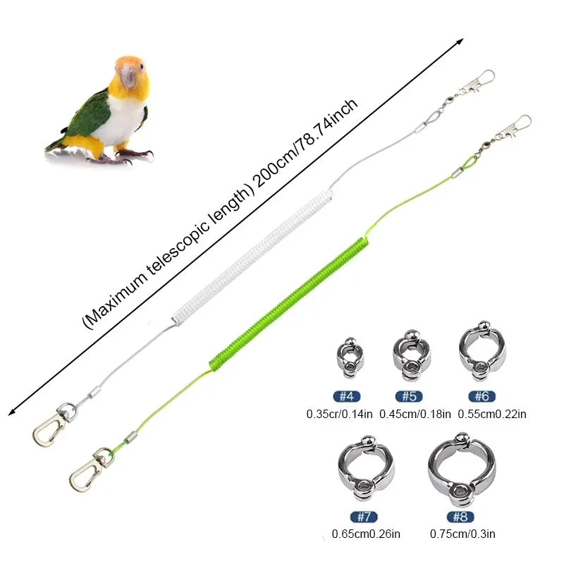 SassBeak Adjustable Bird Flight Harness & Training Leash