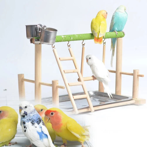 BeakPlay™ Activity Center | Bird Playground with Perch & Toys